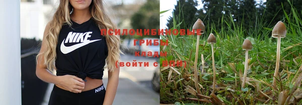 гашишное масло Покачи