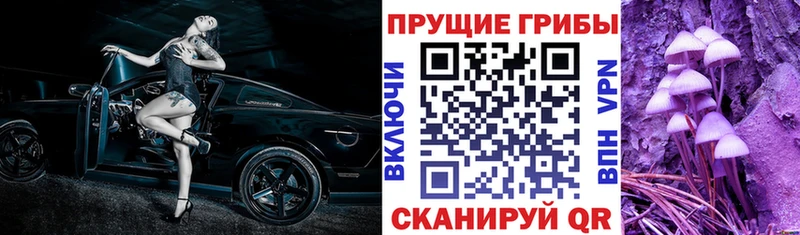 Галлюциногенные грибы GOLDEN TEACHER  блэк спрут рабочий сайт  Чегем  что такое наркотик 
